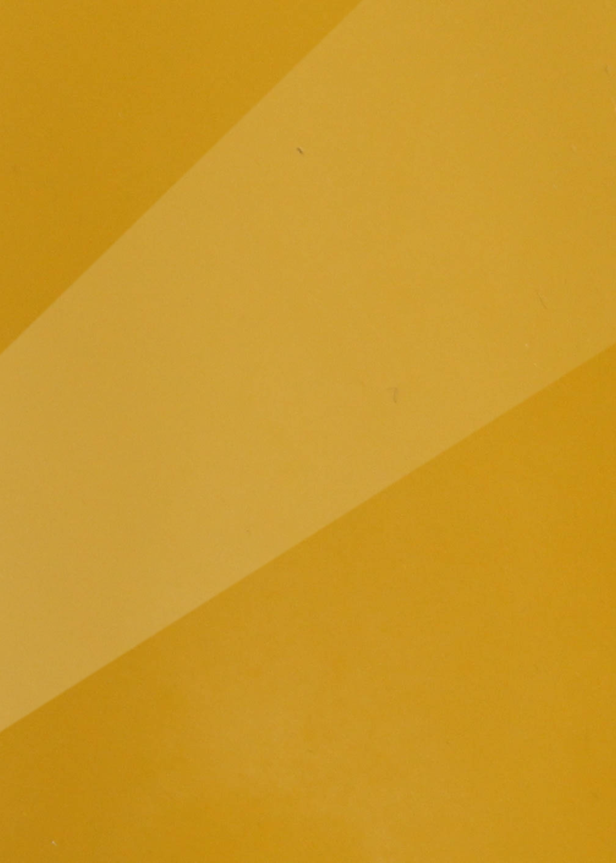 Glossy Mustard