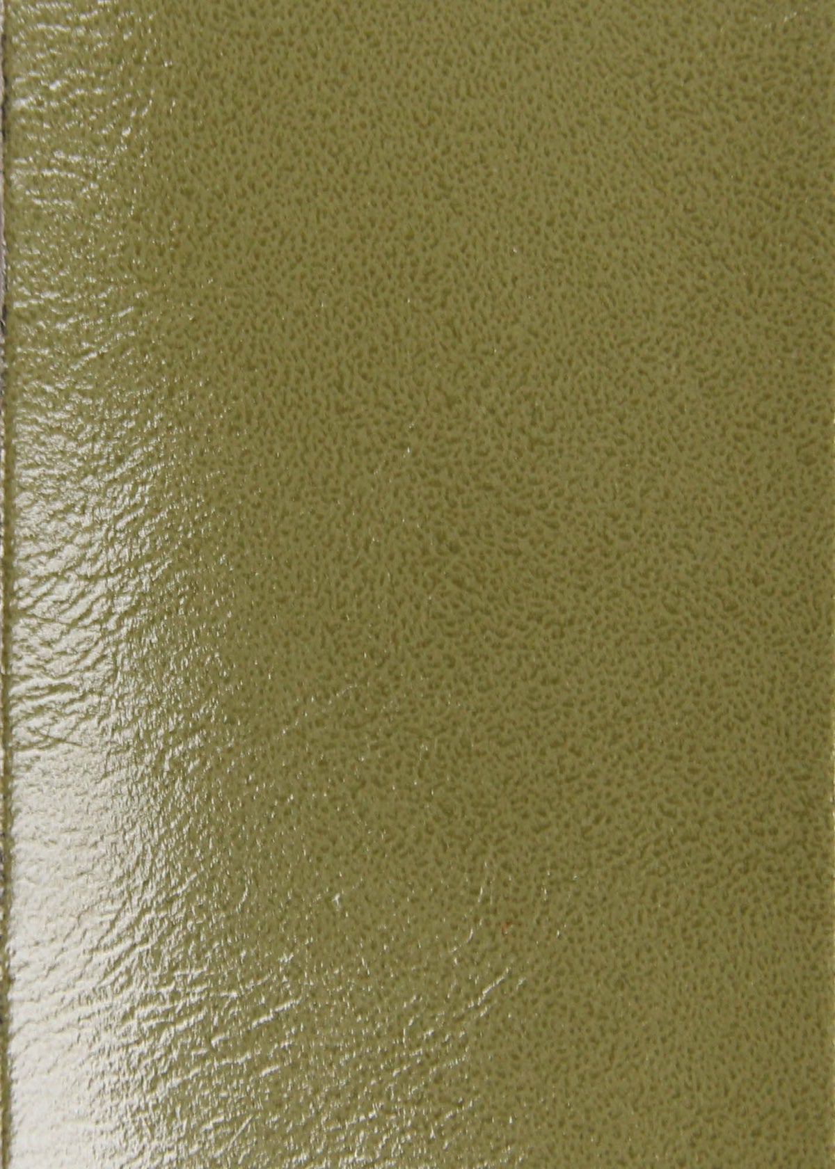 Eggshell Olive