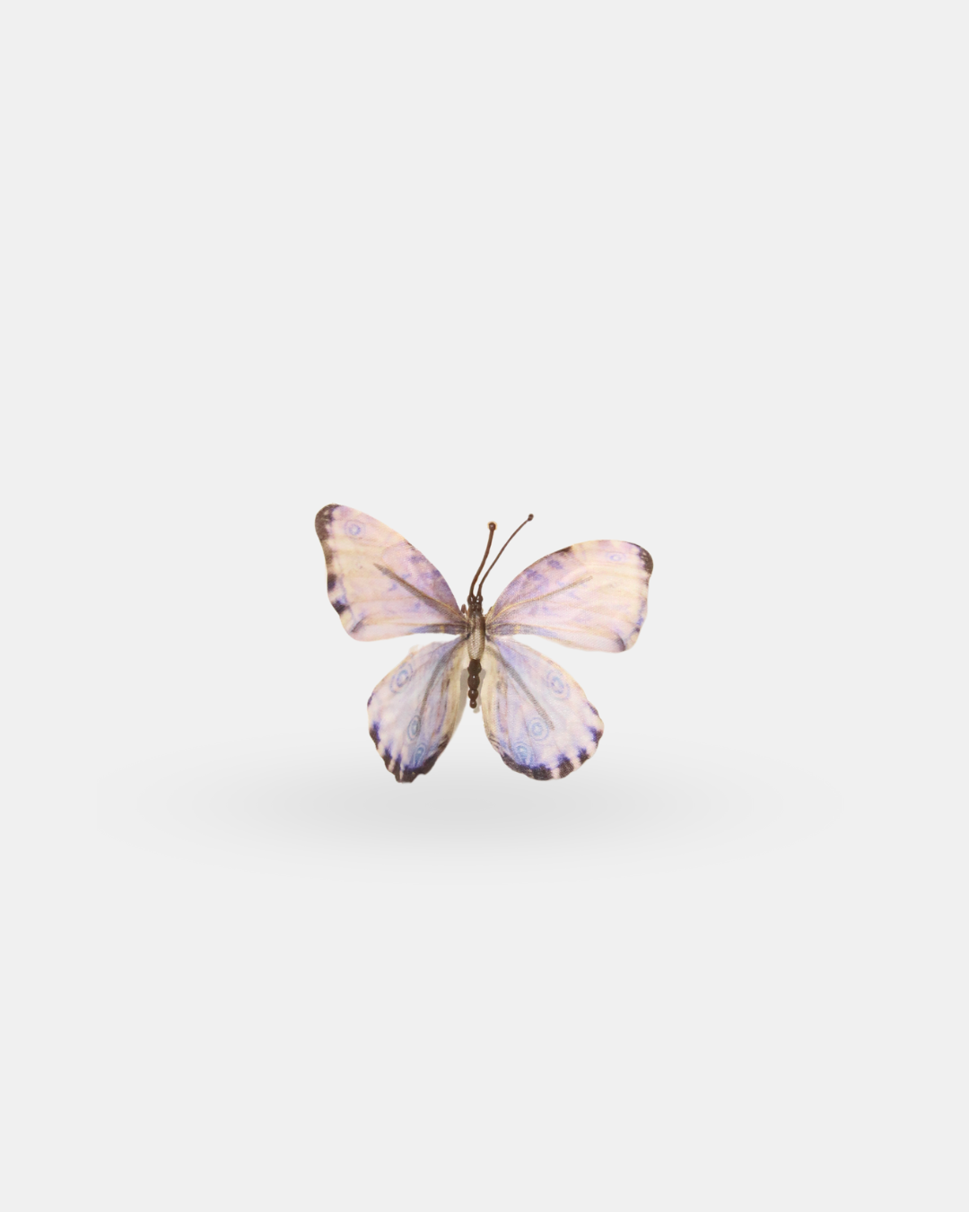 Small Butterfly Attachment