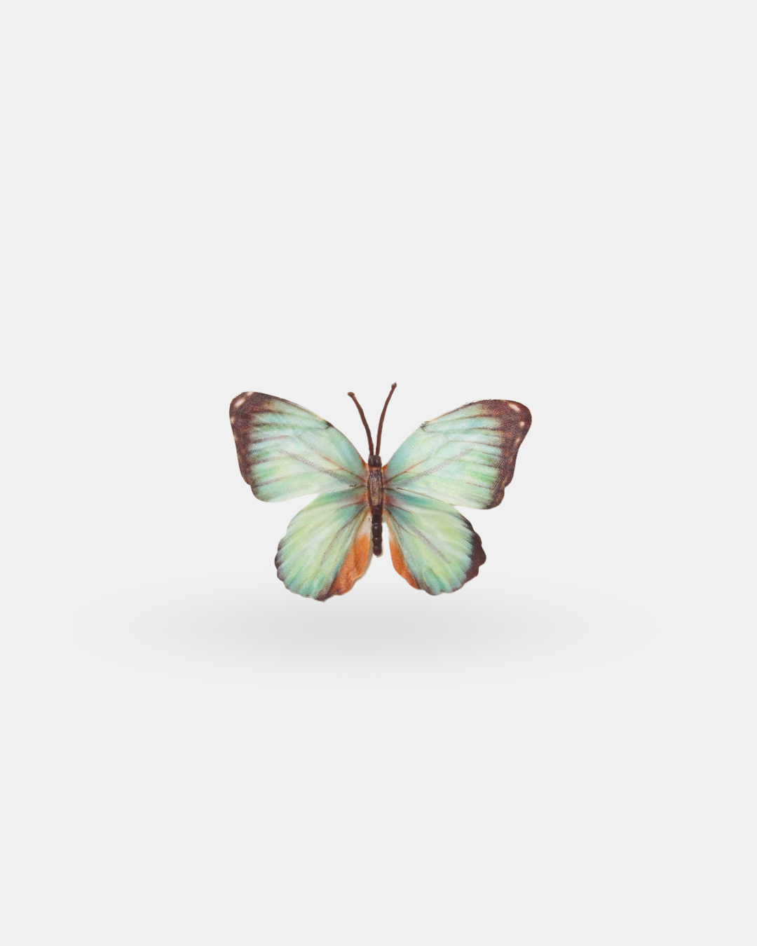 Small Butterfly Attachment