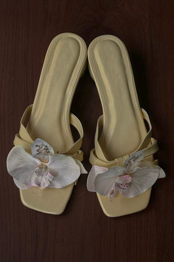 Cloud & Bloom in Momma Lemon