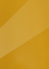 Glossy Mustard