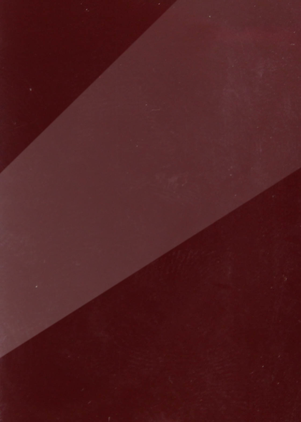 Glossy Wine Red