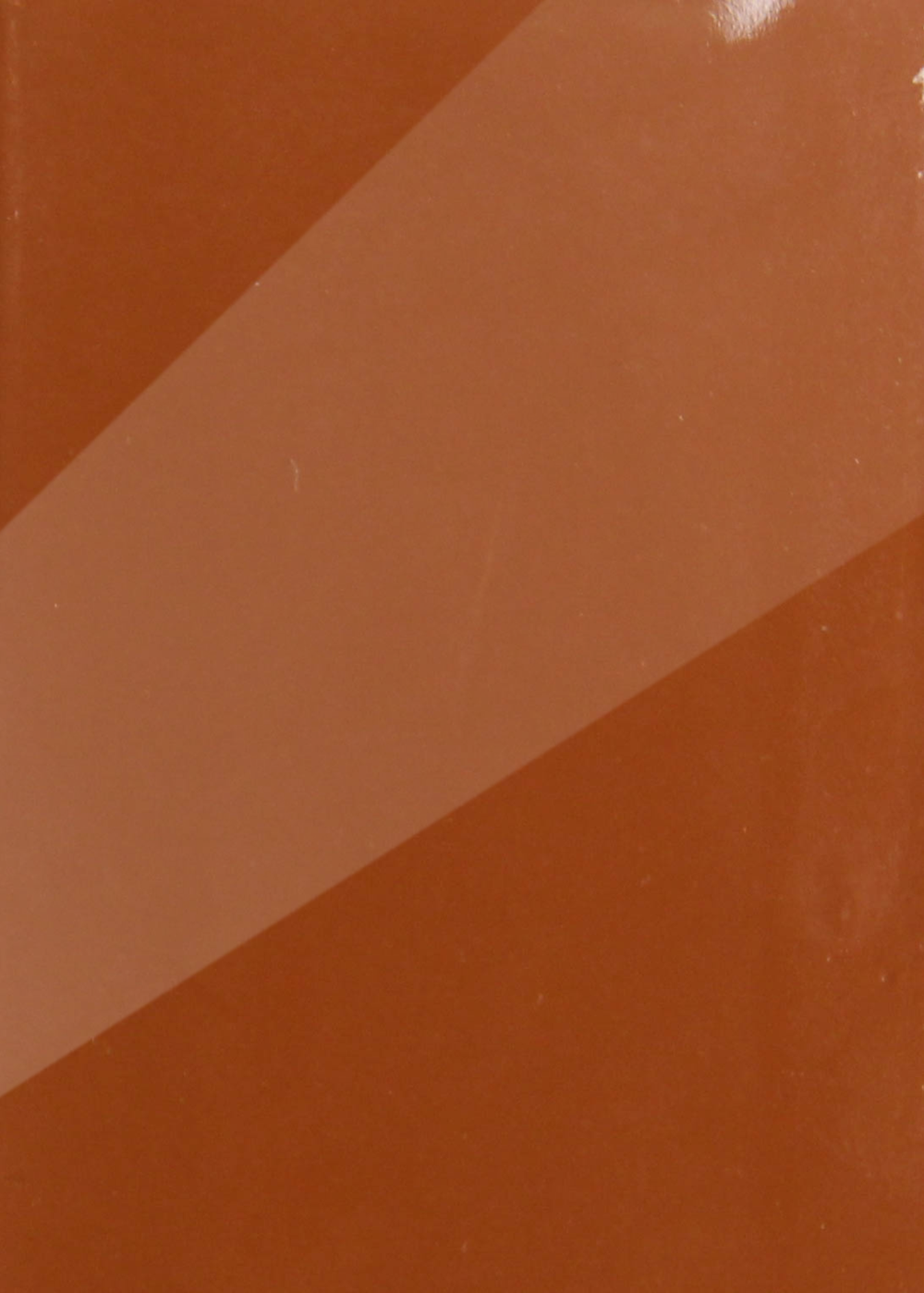 Glossy Burnt Orange