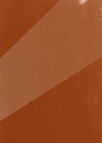 Glossy Burnt Orange