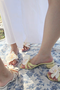 Cloud & Bloom in Momma Lemon