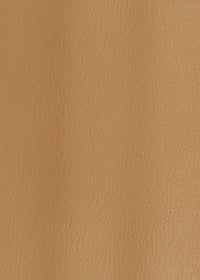 Matte Bronze