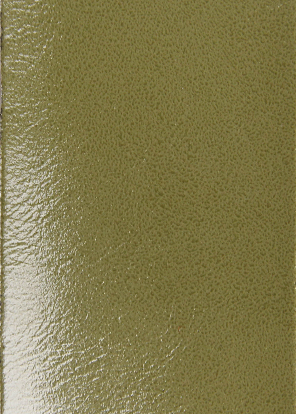 Eggshell Olive