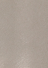 Eggshell Grey
