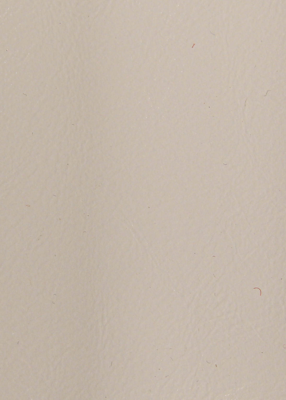 Eggshell White