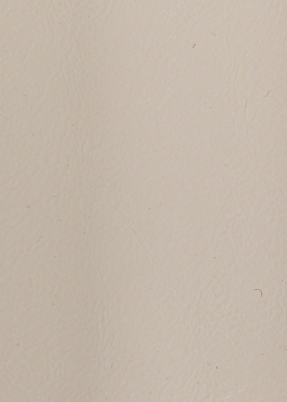 Eggshell White