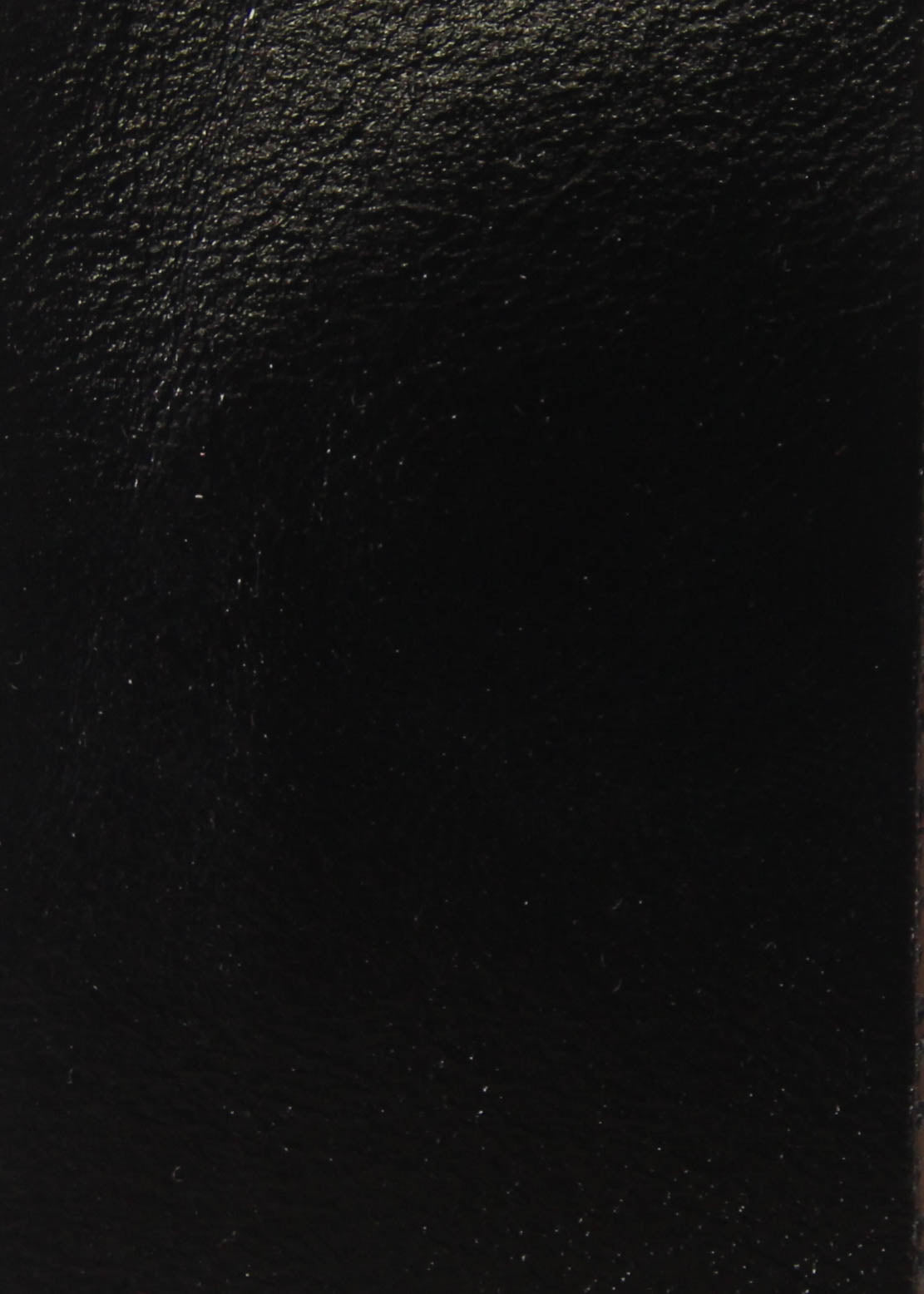 Eggshell Black