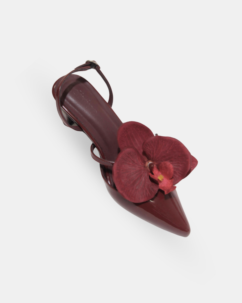 Divine Soirée in Wine Red
