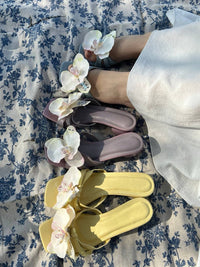 Cloud & Bloom in Blue Me Away